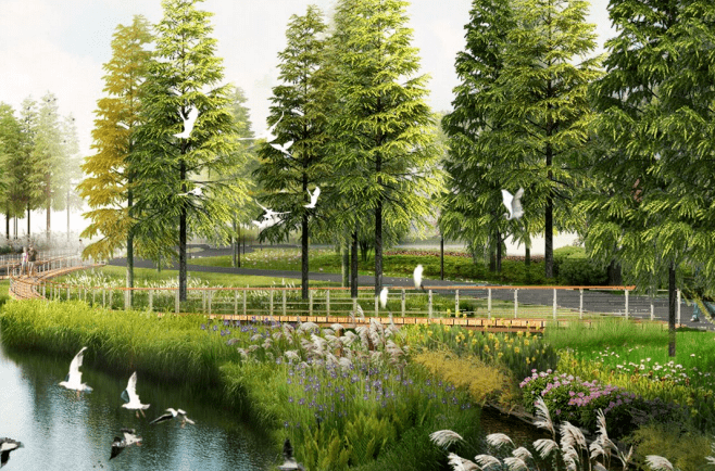 年内亮相高新区将添一座生态小岛