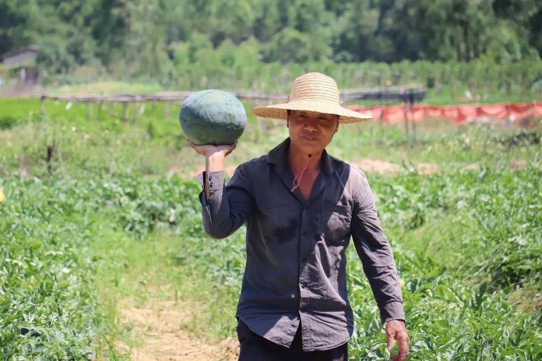 我为群众办实事雨季瓜农陷困境爱心助农再升级