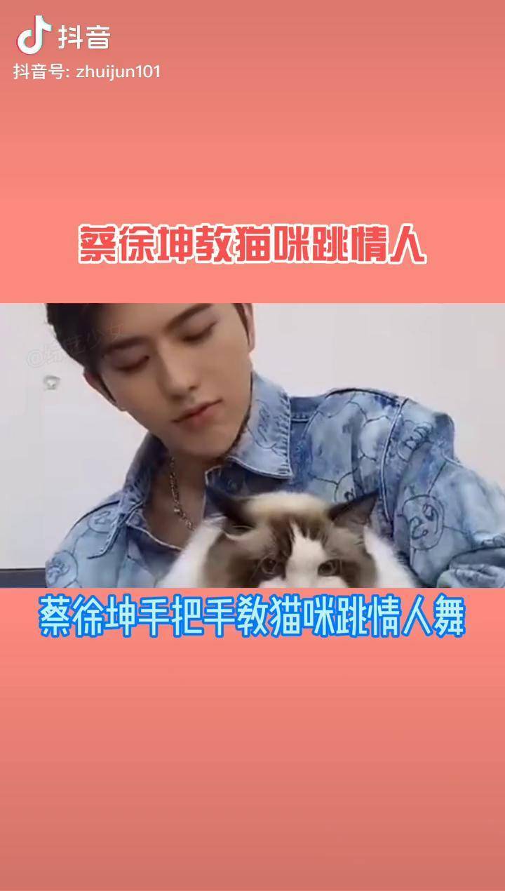 蔡徐坤抱猫咪图片图片