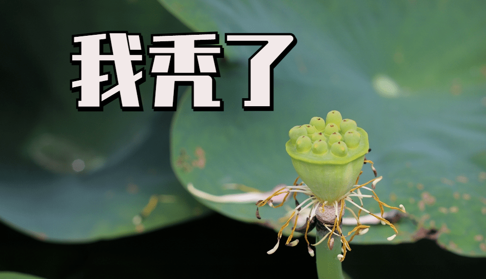 c1c583d2e9d7462bac761227e85c38b7.png