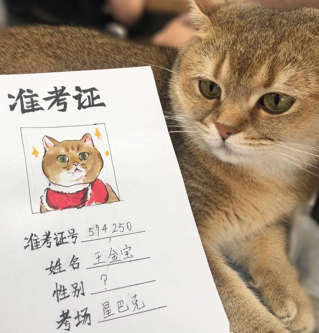 没有真准考证的宝宝们真的是有招,自己动手丰衣足食,活脱脱的手绘大赛