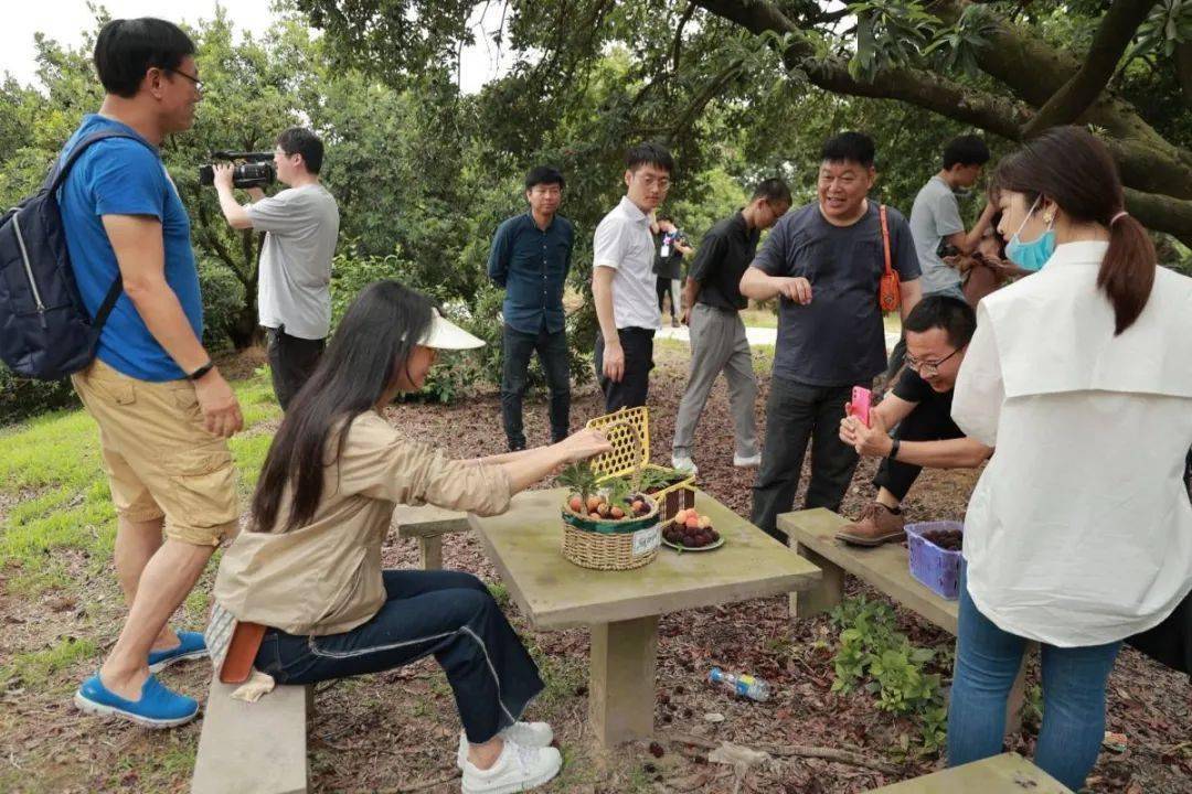 游慈溪吃杨梅长三角旅游高铁专列走进2021慈溪杨梅节