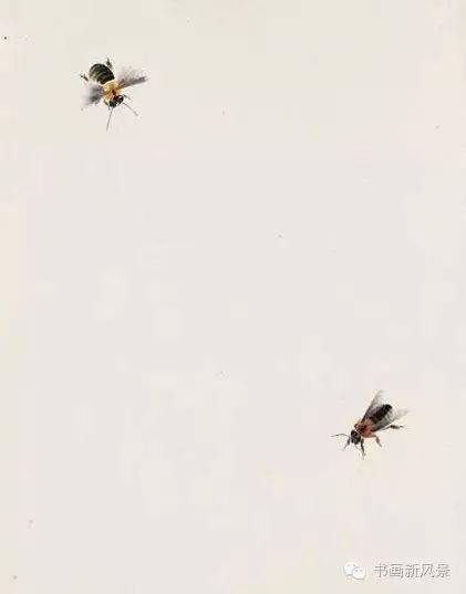 看了齐白石画的小蜜蜂和马蜂真是服啦