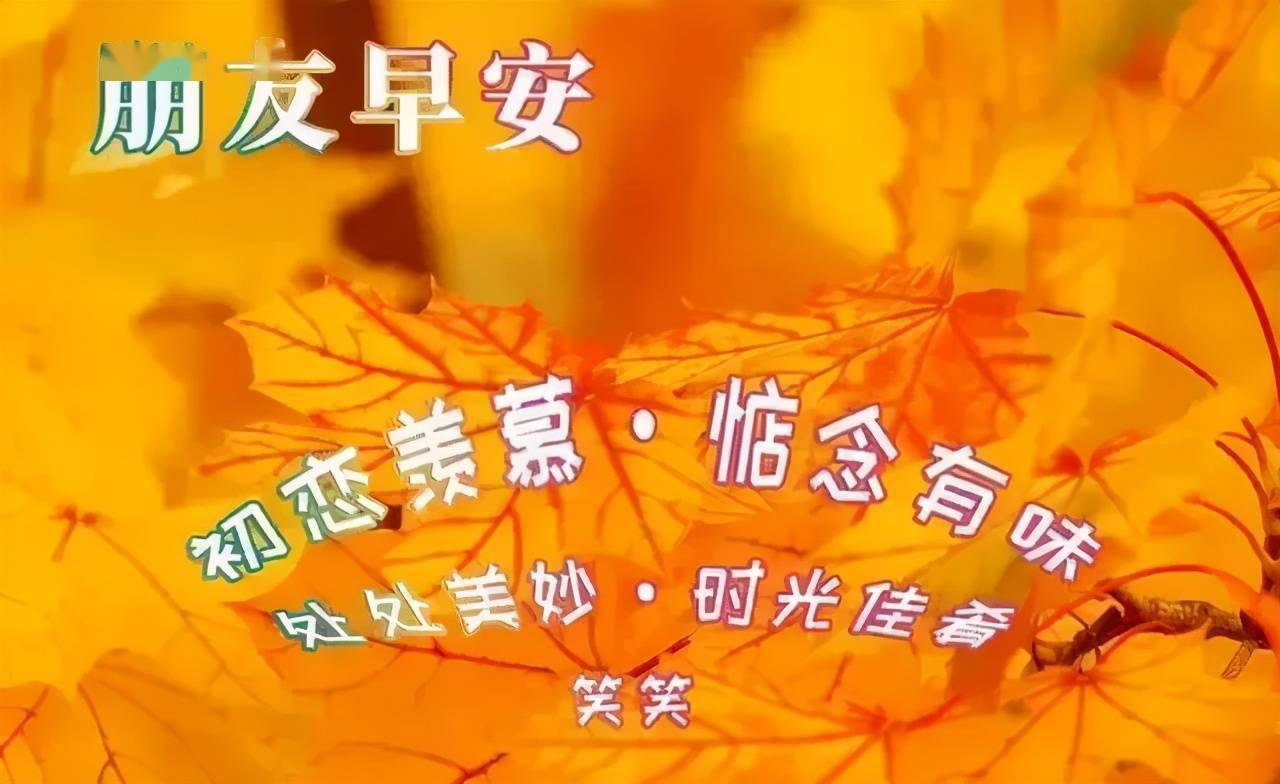 d26397d108904bc6ae9adc0f72b426c1.jpeg