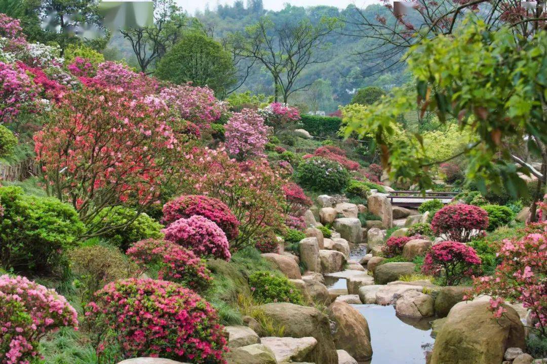 仙境一样的宝藏度假地上渚山奇幻谷