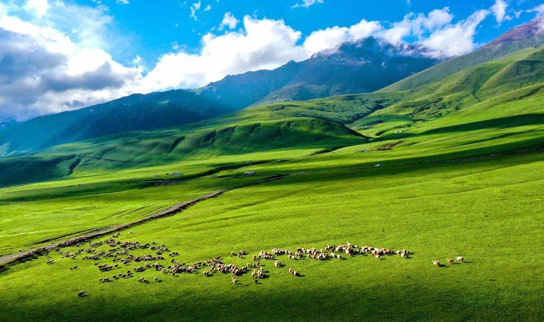 当博州人看到这片草原天堂画卷美爆了