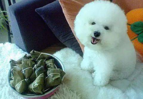 狗多少度会感觉热 642fd0d5d9014ee3a98f9bb87d338131.jpeg