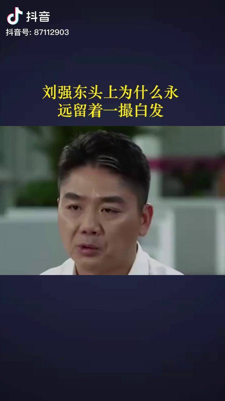 刘强东头上为什么永远留着一撮白发价值张磊