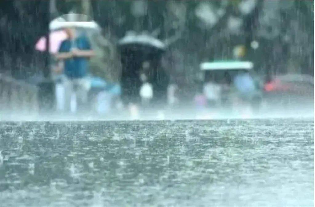 奉贤未来一段时间几乎每天 雨雨雨 梅雨季节这种疾病要注意 王一飞