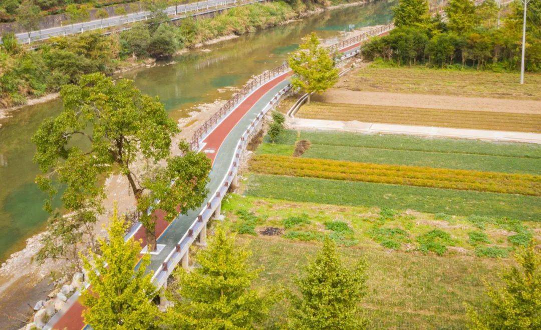 临安这些"高颜值"绿道,你都走过吗?