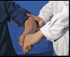 强直(rigidity)区别于锥体系病损的肌张力增高不同的特点是对被动运动