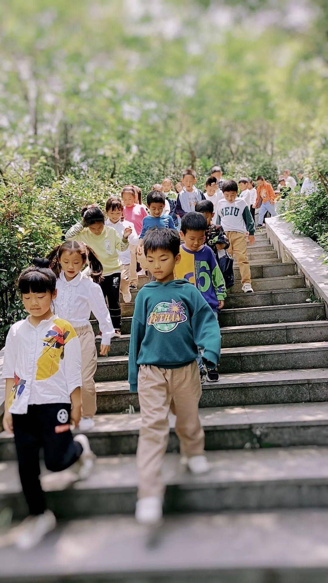 润州区实验小学图片