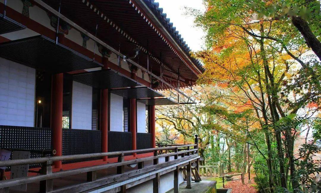 京都的庭园:永观堂.