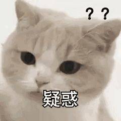 太阳|神奇！厦门上空惊现“三个太阳”，你看到了吗？