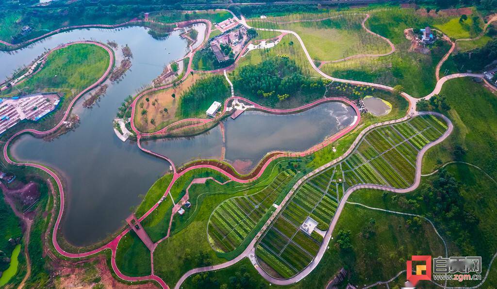 自贡东部新城添高颜值公园宜昆河湿地公园草木葱茏湖水澄碧