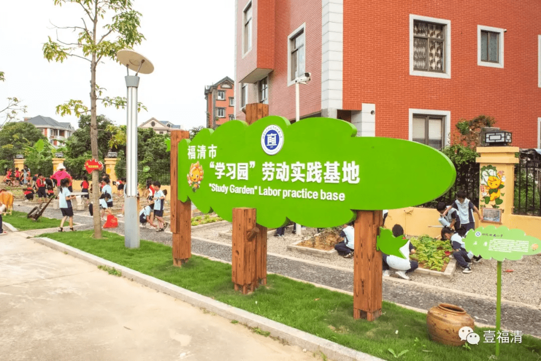 名为福清市"学习园"劳动实践基地学校为孩子们开辟了一块田地在福清市