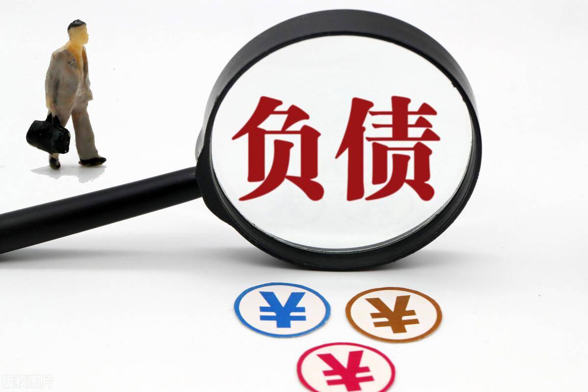 人均负债额_负债图片