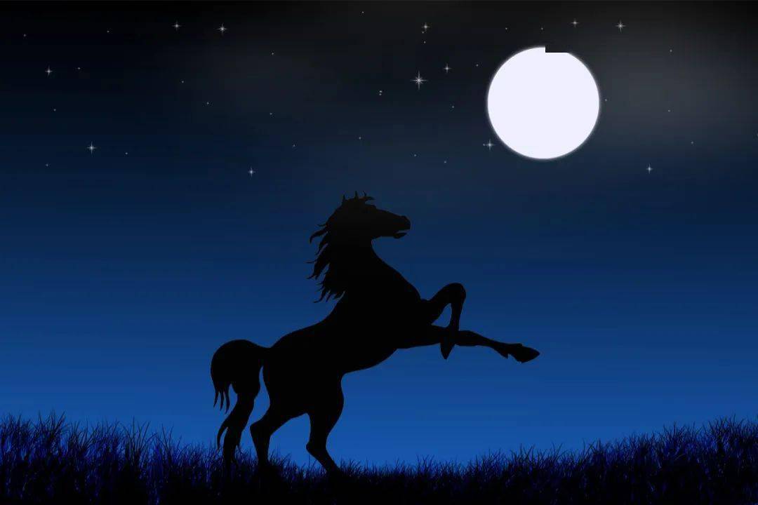 牛股如烈马,难以驯服