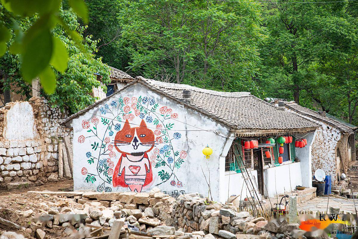 高清组图|"猫村"等你来