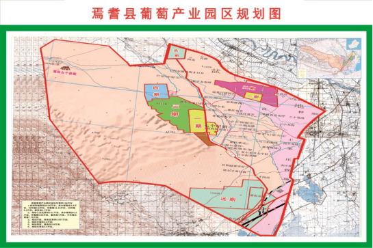 新疆焉耆:种出中国葡萄酒名庄的一个未来