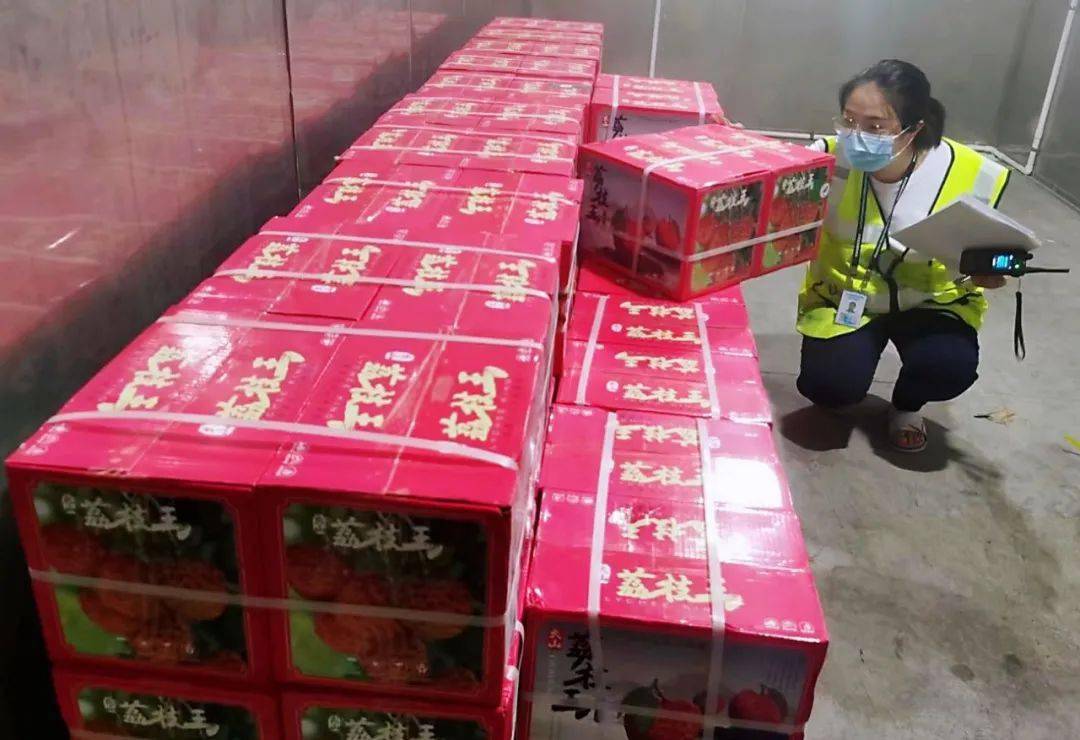 靓"荔"带货 ,南航物流助力岭南荔枝走向全球