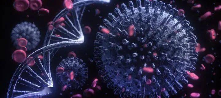 南美洲发现的新变异病毒株lambda目前已引起全球关注