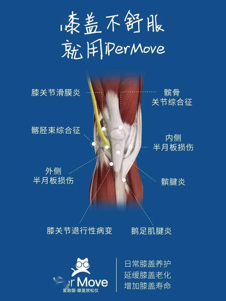 點擊上方主機,長按開機即可▼開箱使用視頻 ▼ipermove(愛跑貓)膝蓋