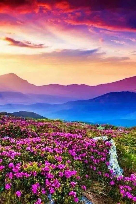 春暖花开图片风景高清 80898f81a3c44236b2ec9659d2e4834a.jpeg