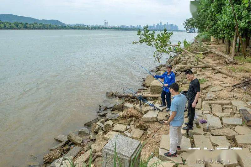 台钓鱼竿排行_鱼竿品牌排行榜鱼竿品牌排名前十