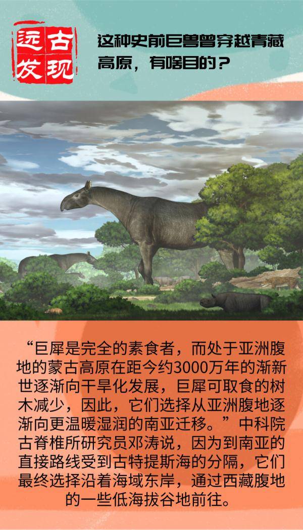 腹地|远古发现丨这种史前巨兽曾穿越青藏高原，有啥目的？