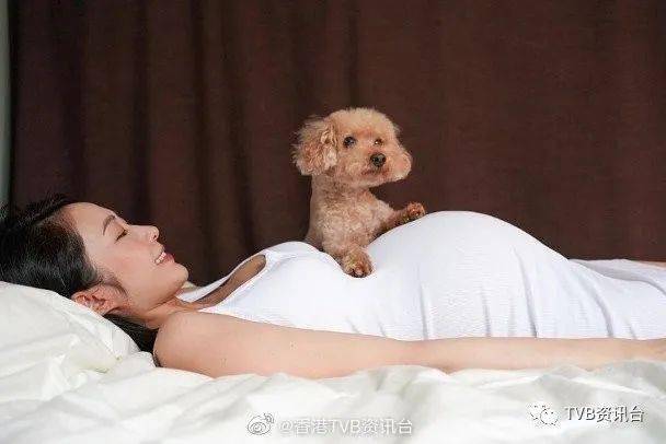 汤怡兴奋晒大肚相汤盈盈staycation享亲子乐