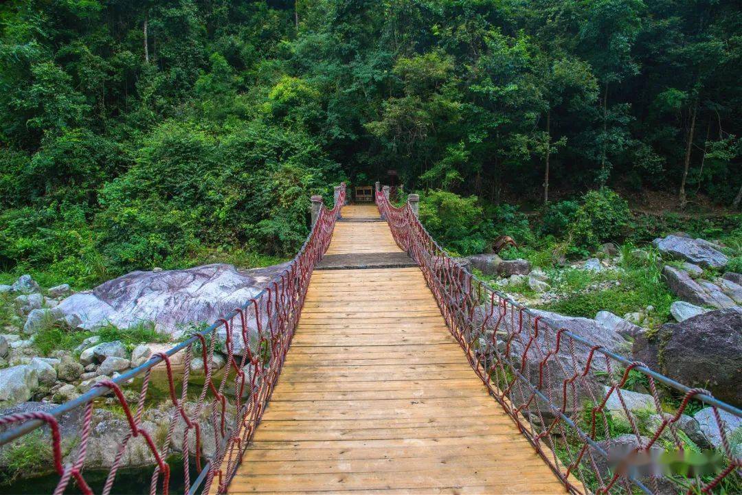 注意啦,天井山国家森林公园67即日起至暂停开放!别白跑一趟~_韶关