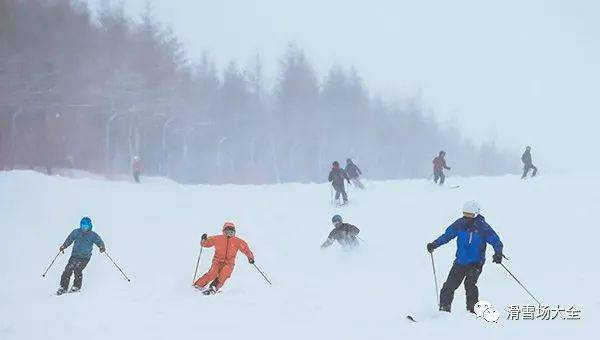 雷竞技RAYBET滑雪新手看过来了 几点必备指南让你驰骋滑雪场(图1)