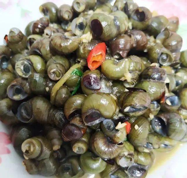 尤其推荐今天要教大家做的一道菜——金不换炒石螺,四季都可以吃,尤其