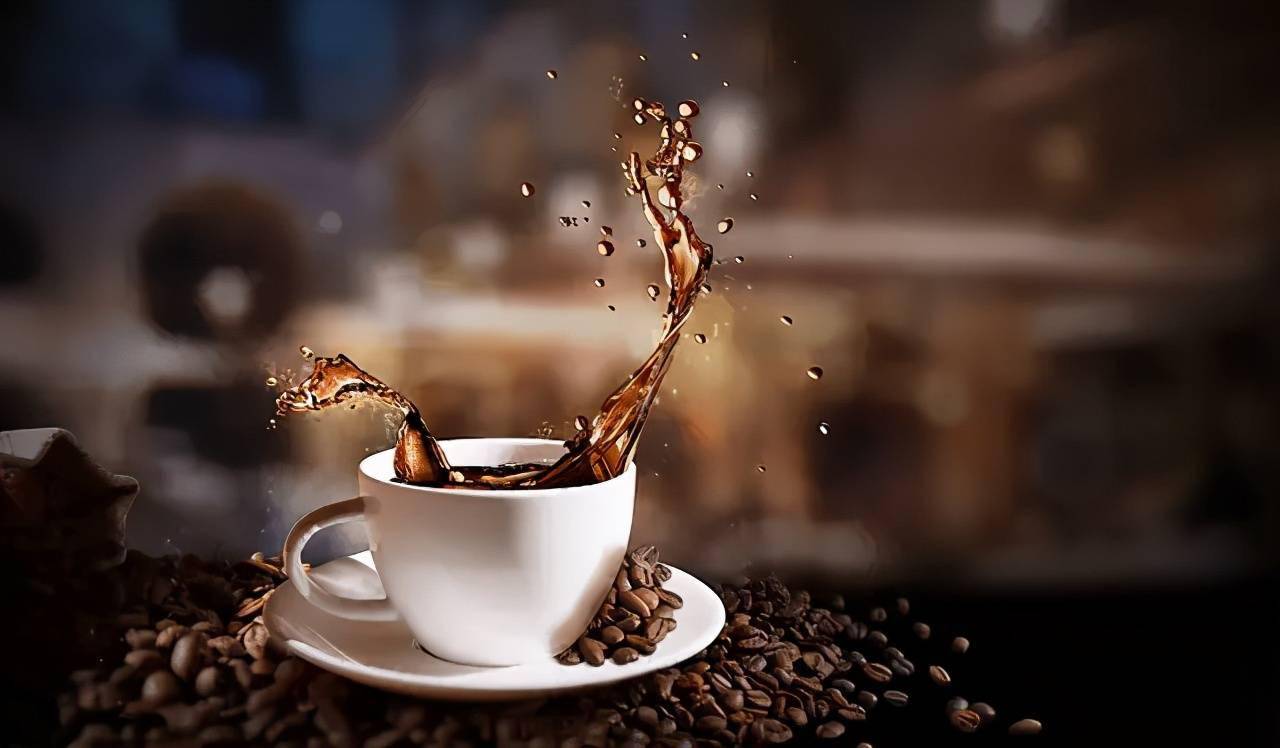 咖啡苦味排行_世界最贵大象粪便咖啡没苦味每公斤售1100美元(2)