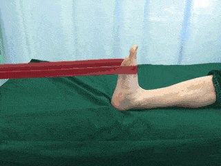 320_240gif 动态图 动图