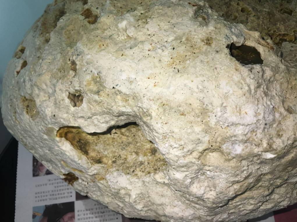 中东渔民捡到127公斤龙涎香价值近千万龙涎香为何这么贵