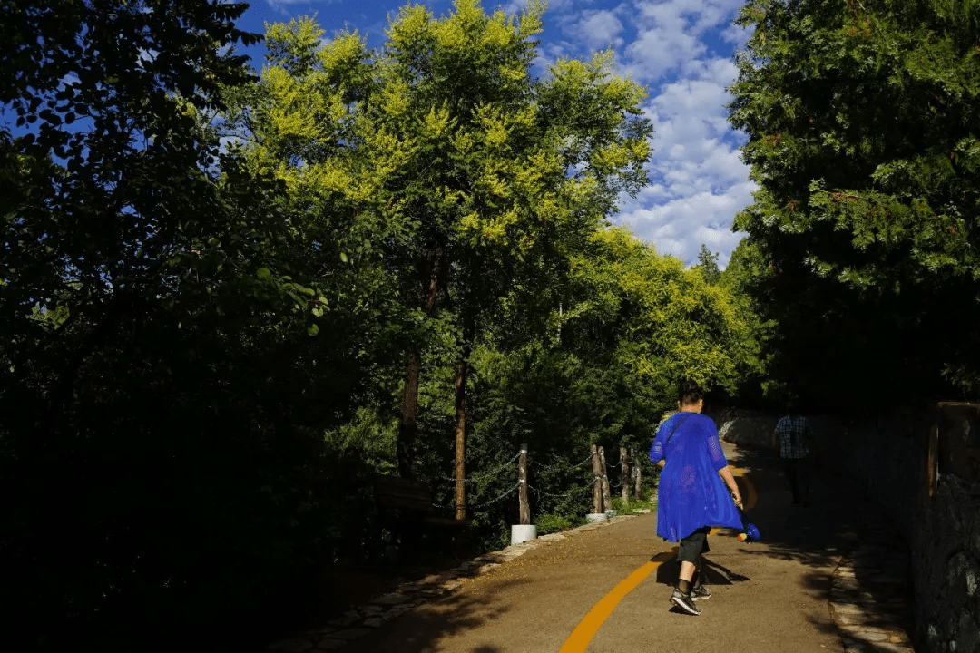 頭頂藍天白雲 四周綠蔭環繞 山間徜徉甚為愜意 拍攝於6月17日夏日炎炎