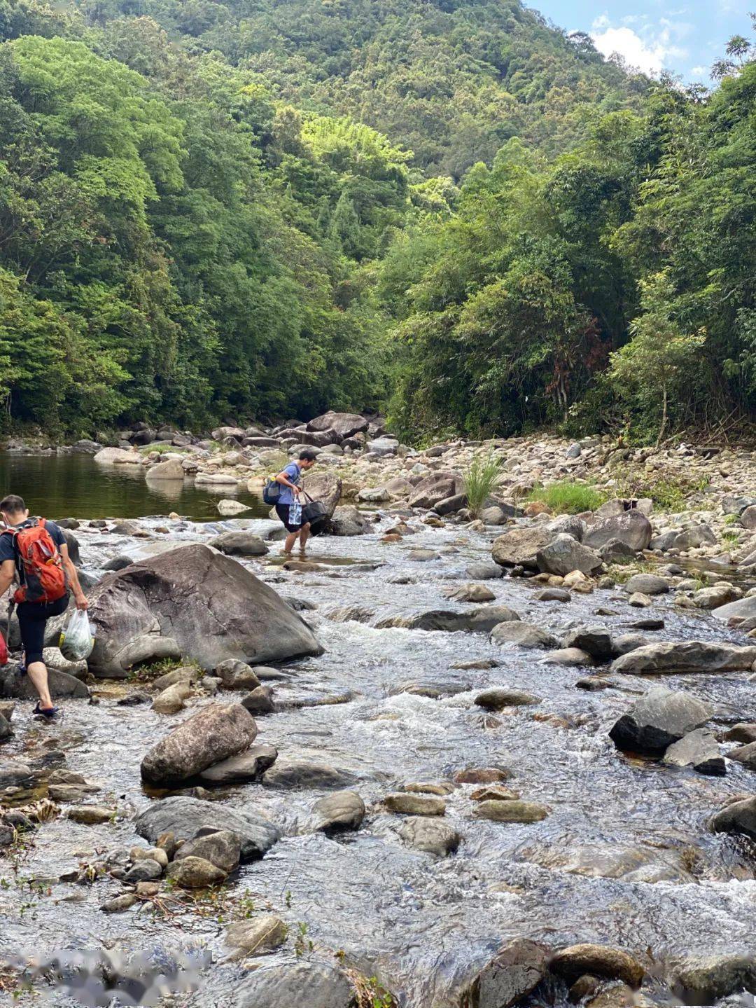 山沟沟简谱_回到山沟沟简谱(3)