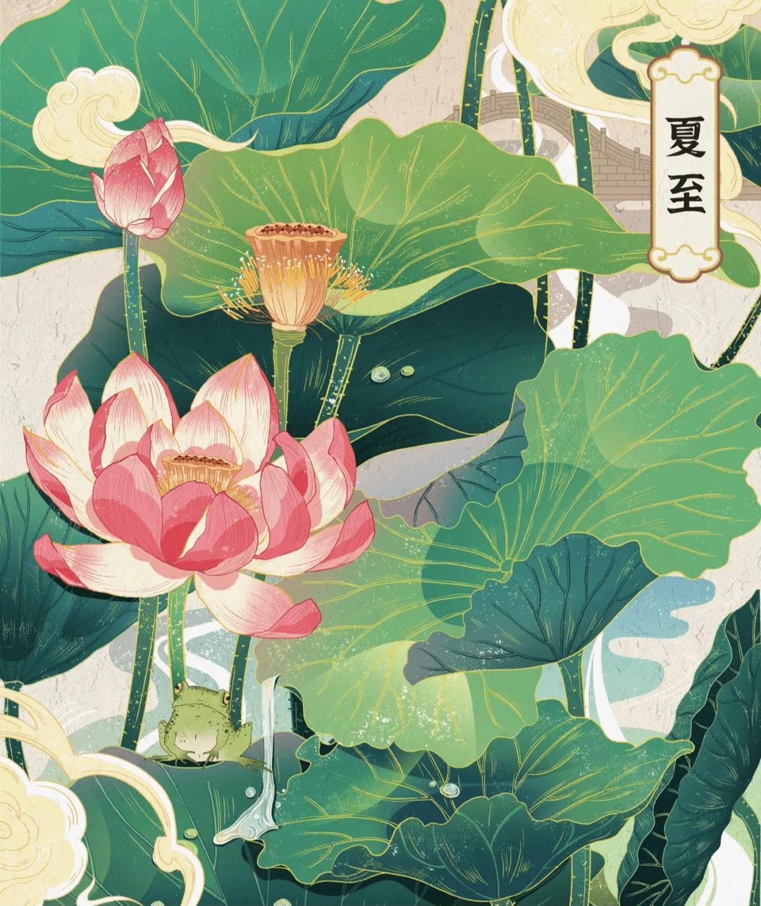 夏至丨万物向阳而立愿所有美好如约而至