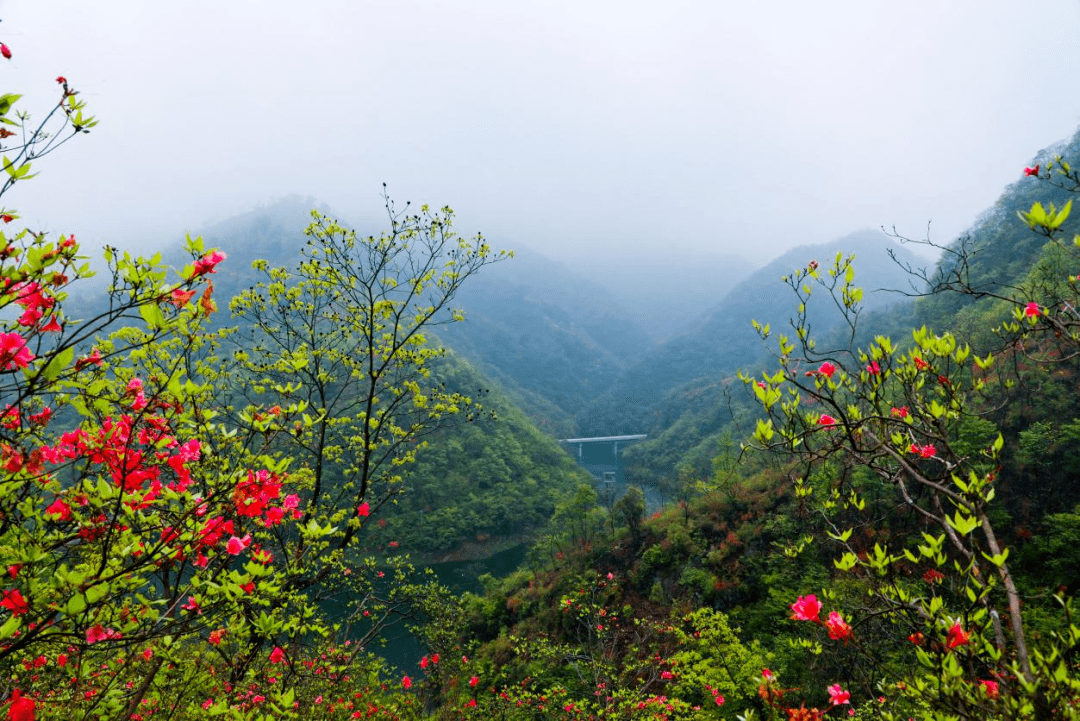 诗画大别山 醉美望春谷 