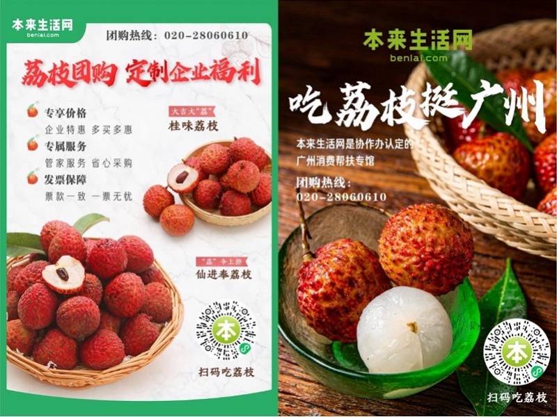 疫情下广东打响荔枝销路战 扶贫专区 荔枝包机 冷链全上线 物流