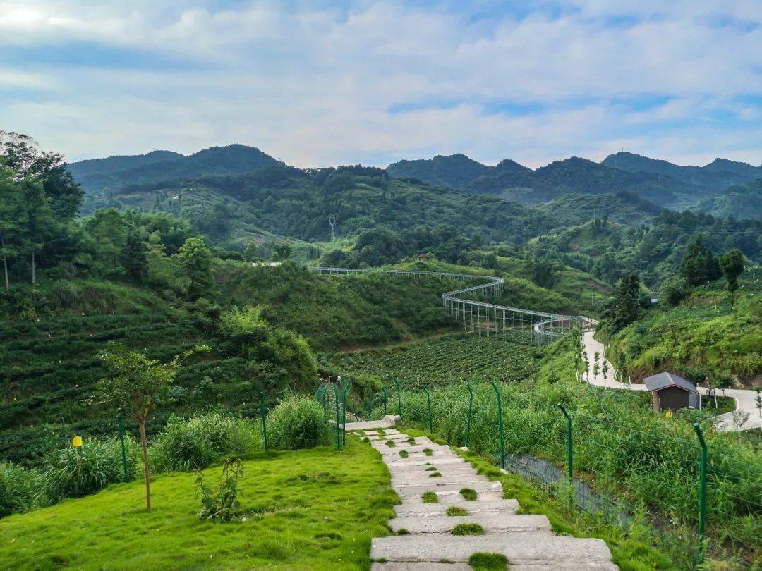 大竹县绘就美丽乡村画卷的乌木实践