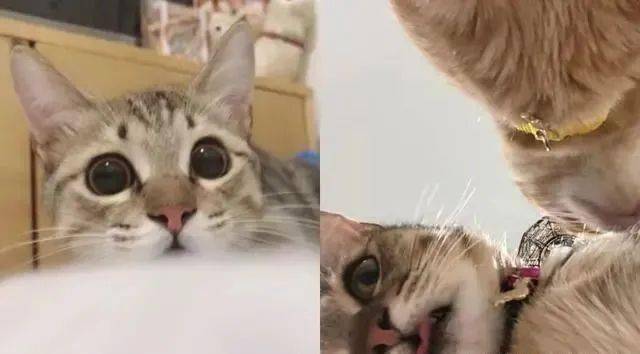 62016f21b6384c03abdc353b0b0332e8.jpeg