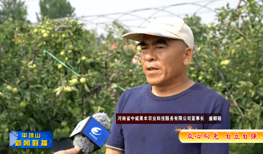 全国科技工作者日科技创新系列报道果农老盛的甜蜜梦想