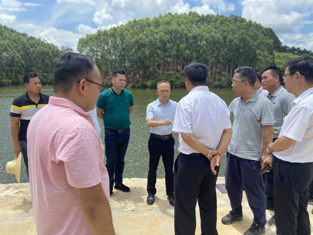 自治区河长制办公室专职副主任陈润东率队到玉林调研合浦水库四乱问题
