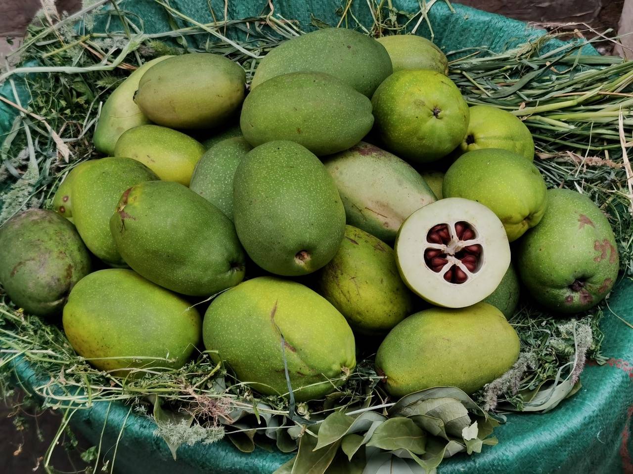 君迁子余甘子胡颓子黑藨子云南果子的滋味