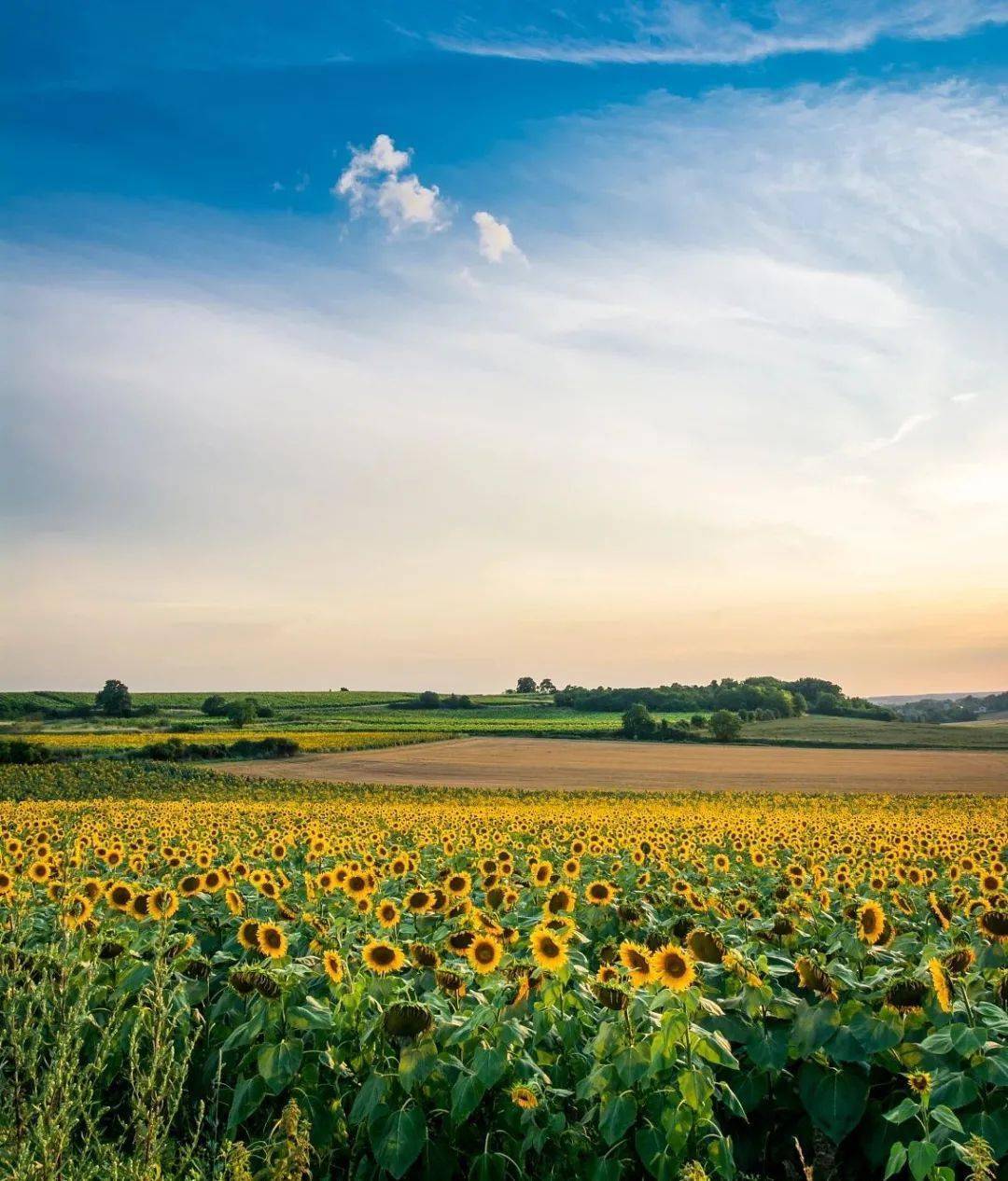 日有所思，夜有所梦？解析前男友频繁入梦的心理原因