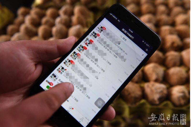 手机为什么自己关机自己重启 49fb95a8b6f046528e5b0eba670deb3b.jpeg