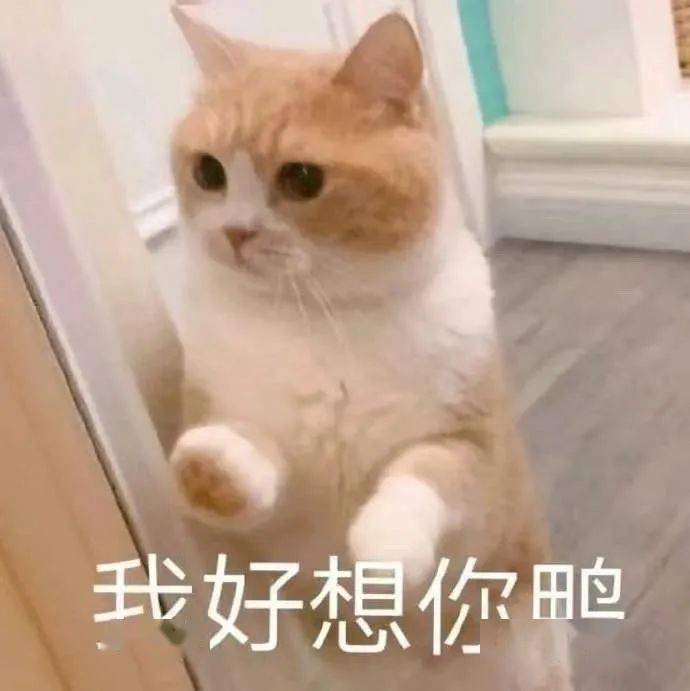 周末愉快表情图 6b3ac9f7a7e74124922628f7cda65eab.jpeg